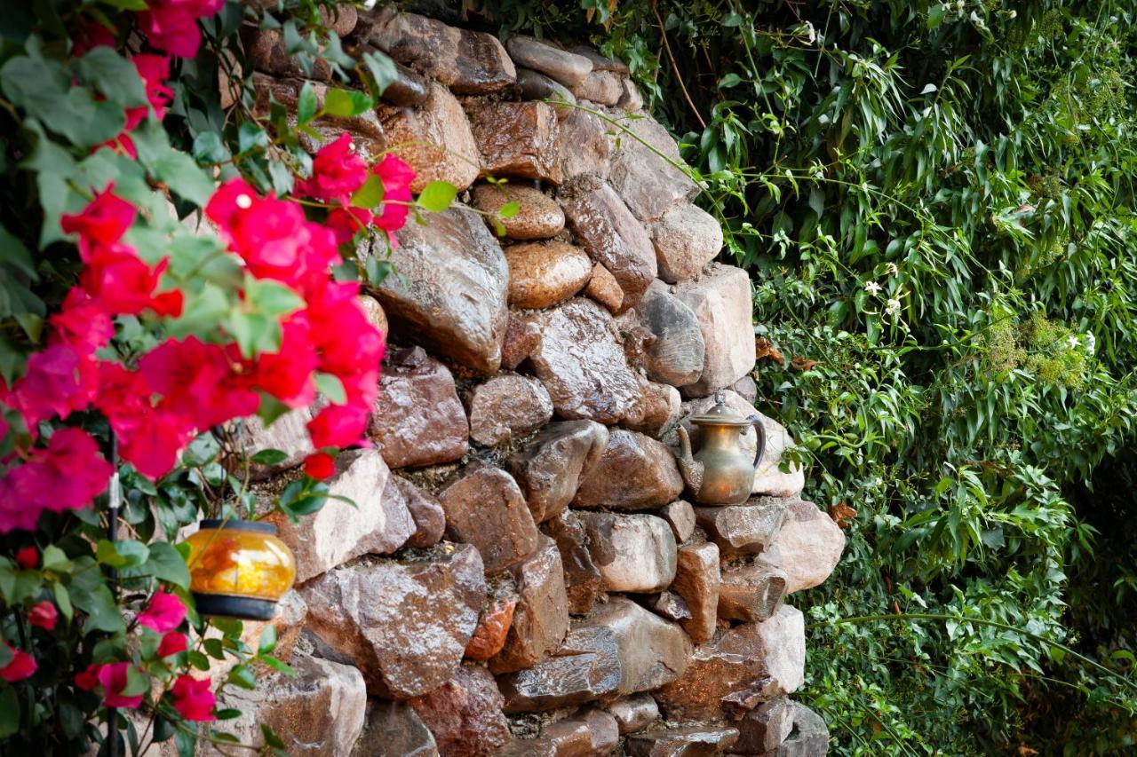 Posada De Rosas Mendoza Dış mekan fotoğraf